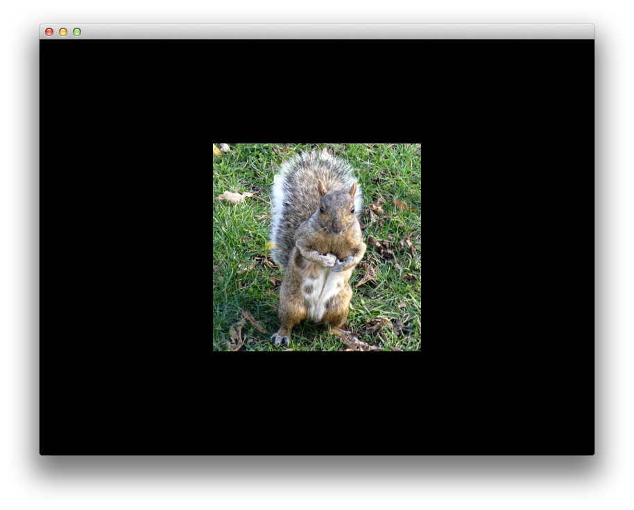 Squirell image correction