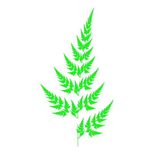Custom Fern